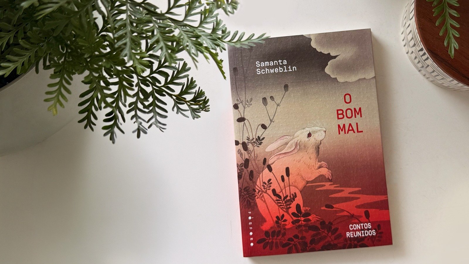 Encontro livro "O bom mal" | Contemplo + Terracotta